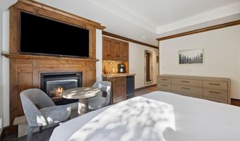 415 E Dean St. # 32 Wk 9, Aspen, CO 81611