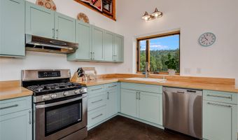 115 Blue Deer Ranch Road B-109, Buena Vista, NM 87712