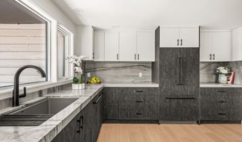 75 Bennett Ct, Aspen, CO 81611
