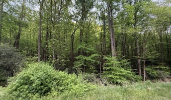 2 Lots Warrior Way Road Lot 11 & 15, Andrews, NC 28781
