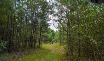 Val Del Road, Adel, GA 31620