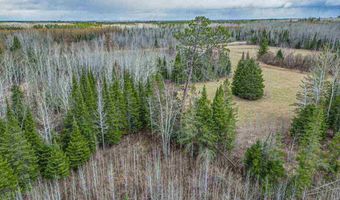 11448 Hwy 22, Angora, MN 55703