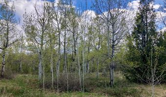 Tbd Aspen Heights Drive, Ashton, ID 83420