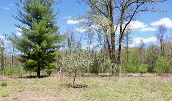 La Grant Road, Alger, MI 48610