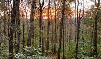 4973 Stryker Rd, Amity, NY 14813