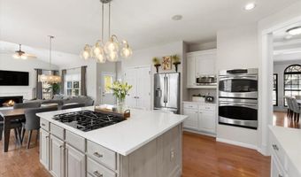 1209 Kiefer Springs Ct, Ballwin, MO 63021