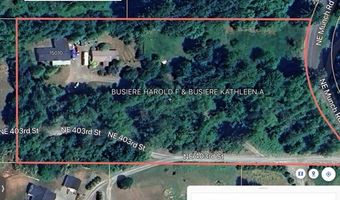 15010 NE 403RD St, Amboy, WA 98601