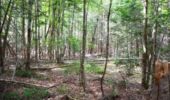 M2l51 52 Airline Road, Amherst, ME 04605
