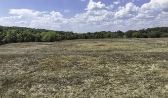 1307 Route Af, Ava, MO 65608