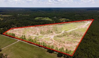 R53358 Tract 2 HWY 94, Apple Springs, TX 75926