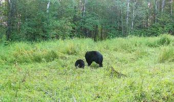 0000 280th Pl, Aitkin, MN 56431