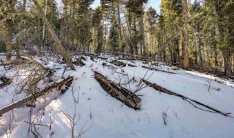 45 And 46 Sacramento Dr, Angel Fire, NM 87710