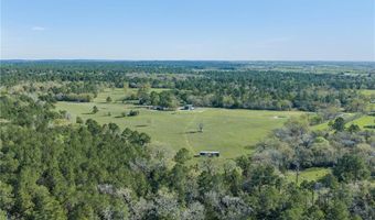 6254 County Road 180, Anderson, TX 77830