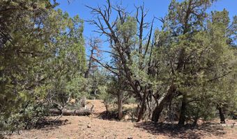 179 Arizona Rd, Ash Fork, AZ 86320