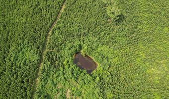590 County Road 204, Ariton, AL 36311