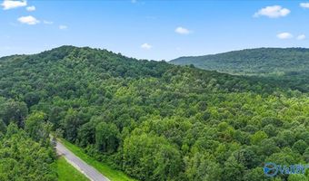 Unit # 0 Murphree Valley Road, Altoona, AL 35952