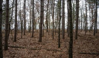 685 17th Dr Lot 6, Arkdale, WI 54613
