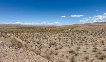 4755 Gold Butte Rd, Bunkerville, NV 89007