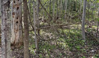 Gratiot River Road lot A, Allouez, MI 49805