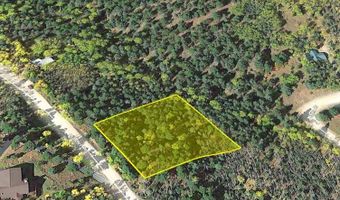 Santo Domingo Trl lot 716, Angel Fire, NM 87710