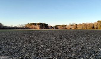 MUSKRATTOWN Road lot 1, Bishopville, MD 21813