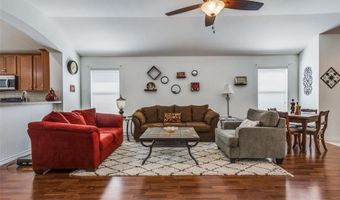1617 Black Maple Dr, Anna, TX 75409
