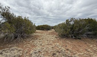 149 County Rd 8057, Concho, AZ 85924