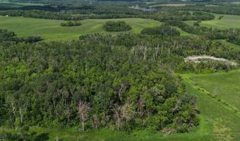 S1/2 SW1/4 8-162-74 & NW1/4 SW1/4 8-162-74, Bottineau, ND 58318