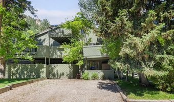 125 E Hyman Ave 1A, Aspen, CO 81611