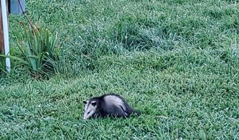 4775 S 50th Rd, Aldrich, MO 65601