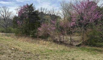 100 US Highway 167, Bald Knob, AR 72010