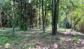 1243 Silcox Rd, Ashford, AL 36312