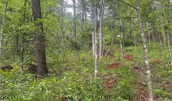 V/L Wolf Crossing, Bakersville, NC 28705