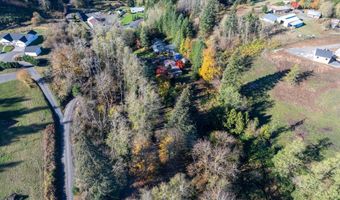 15010 NE 403RD St, Amboy, WA 98601