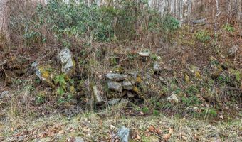 NC 209 Highway, Aurora, NC 28743