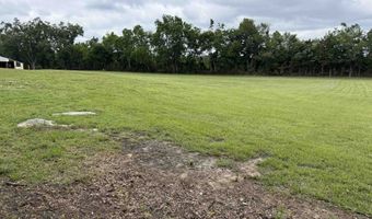 64 Hwy, Adamsville, TN 38310