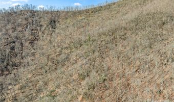 31 Reillys Bluff Rd 2, Barnardsville, NC 28709