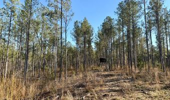 Highway 28, Abbeville, SC 29620