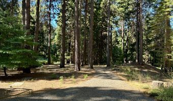 1428 Meadow Dr, Arnold, CA 95223