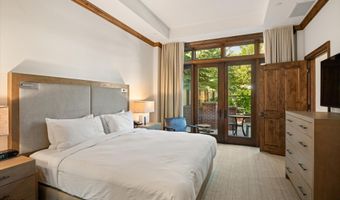 400 E Dean St 09Ab, Aspen, CO 81611