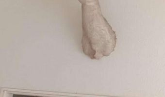 1 Iron Mine Rd, Carlin, NV 89822