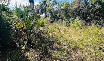 1219 N Paris St, Bell, FL 32619