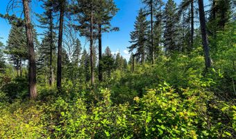 631 Saddlehorn Trl, Bigfork, MT 59911