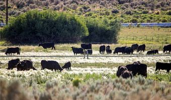 Duck Creek Development, Ely, NV 89301