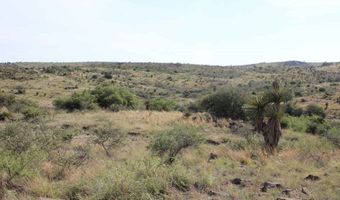 Tract 39 Sierra La Rana, Alpine, TX 79830