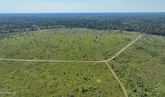 38774 S Mccarrol Rd, Amite, LA 70422