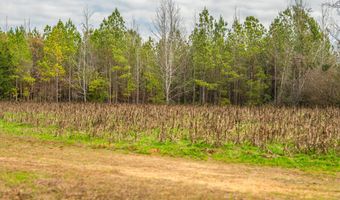 001 Old Stage Rd, Atmore, AL 36502