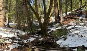 1968 Flamingo Way, Arnold, CA 95223