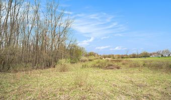 V/L Watts Road, Allegan, MI 49010