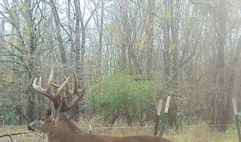 0 HWY 71, Alexandria, LA 71303